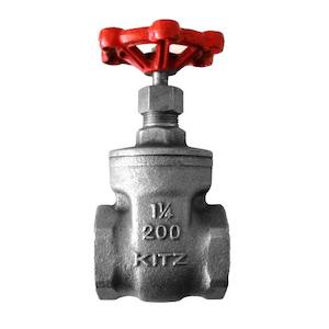 Stainless Steel Gate valve