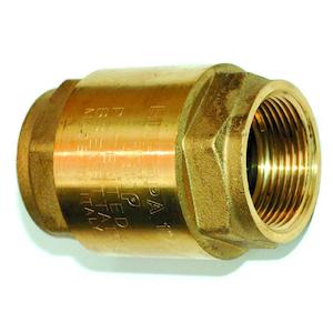 Valves: Brass Spring Check Valve