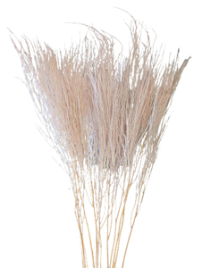 Products: Preserved Tiki Fern Pink Fast NZ Delivery All InSeason