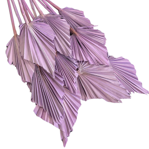 Products: Dried Palm Spear Lavender Fast NZ Delivery All InSeason
