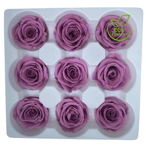 Products: Preserved Spray Roses Lilac Fast NZ Delivery All InSeason