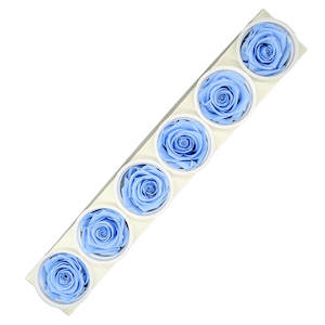 Preserved Roses Blue Fast NZ Delivery All InSeason