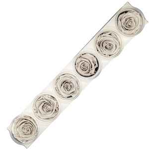 Preserved Roses Gray Fast NZ Delivery All InSeason