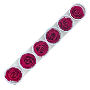 Preserved Roses Velvet Plum Fast NZ Delivery All InSeason