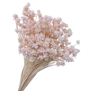 Preserved Hill Flower Pink Fast NZ Delivery All InSeason