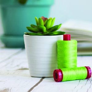 Thread 1: Aurifil 12WT variegated 100% Cotton Thread 50m