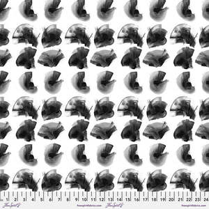 e bond Glyphs - Toni - Ink