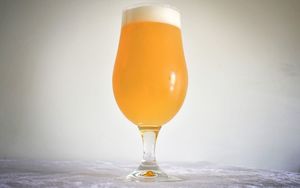 Hazy Style: ATF Juicy Fruit NEIPA - Grainfather | Brewzilla | Guten 40L