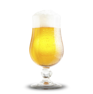 European Beer: ATF Belgian Saison - Grainfather | Brewzilla | Guten