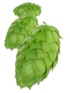 Mosaic Cryo Hops - 50g