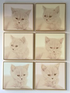 Luna Meditation Art Tiles - Serene Cat Portraits for a Calming Home - JULIA HOLDEN