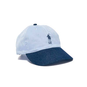 Headwear: Hell Ride Dad Cap