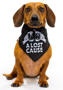 Accessories: Cheers Dog Bandana