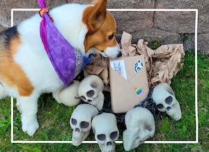 Products: Book Only - Halloween 2024!