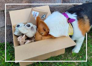 Products: Book Box - Halloween 2024!