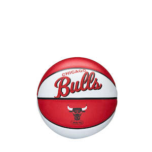 NBA Team Mini Basketballs