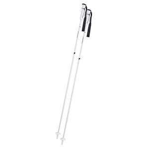 Ski Poles: Booster Speed Carbon White-Silver