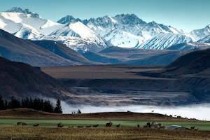 Frontpage: Road 2 Mesopotamia