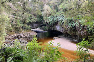 Tours: Wild West Coast Tour - Karamea
