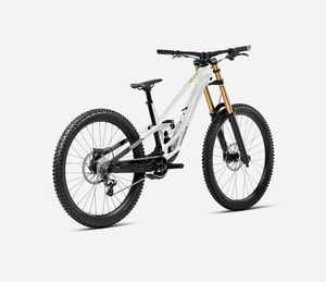 Bike Rental: Bike Rental - Exec Downhill (Orbea Rallon) - Large