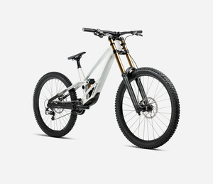 Bike Rental - Exec Downhill (Orbea Rallon) - Medium