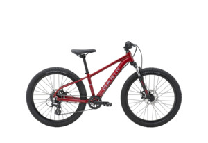 Bike Rental - Kids 24"