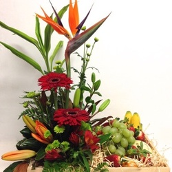 Flowers and Gifts - Plants and Gift Baskets - Amaryllis for Flowers: Arrangement with fruit - amaryllis for flowers