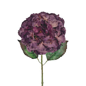 Large Ball Hydrangea - Eggplant