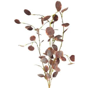 Faux Plants Foliages Flowers: Tall Two Tone Eucalyptus - Burgundy/Grey