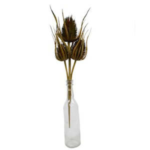 Faux Plants Foliages Flowers: Dried Thistle Bundle