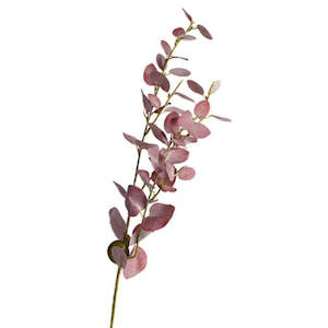 Eucalyptus Spray: Burgundy - 80cm
