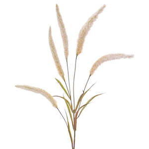 Sale Faux Flowers Foliage: Flowering Pearl Grass - Cream/Brown