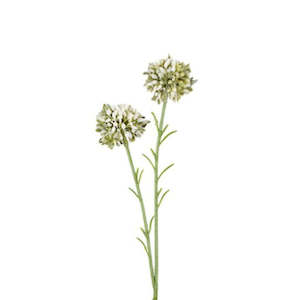 Mini Allium Spray: Cream - 46cm