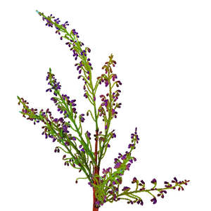Faux Plants Foliages Flowers: Heather Purple