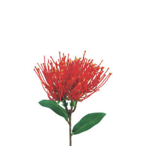 Pohutukawa Spray - Small