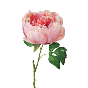 Faux Plants Foliages Flowers: Opening Peony: Blush