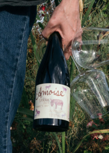 Frontpage: Syrah 2023