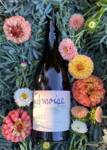 All Wines: Amphora Gris 2024
