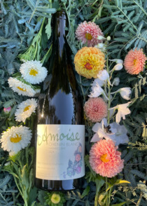 All Wines: Amphora Chenin Blanc 2024