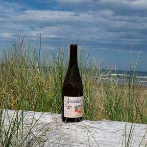 All Wines: Amphora Albariño 2023 -SOLD OUT
