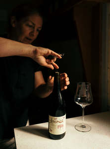 All Wines: Light Reds Pack