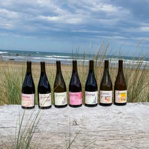 All Wines: Amoise Mixer Pack (3, 4, 6)