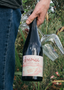 All Wines: Amphora Gamay Noir 2023
