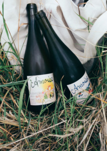 Mailing List: Albariño, two ways.