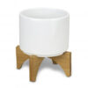 Products: Planter with Bamboo Base Blank or Custom Branded AMPM Promo & Apparel
