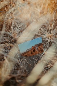 Products: Piha Mini Session : Gift Vouchers - Amy Kate - Auckland Wedding Photographer based in Piha New Zealand