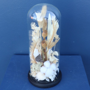 Preserved Dried Florals: Preserved Dome | Vienna Waltz