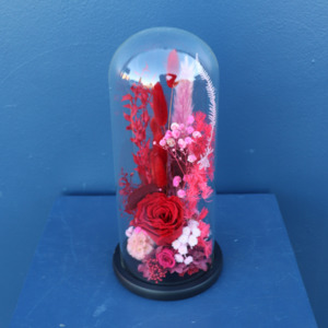 Preserved Dome | Tango