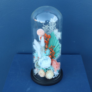 Preserved Dried Florals: Preserved Dome | Foxtrot