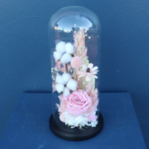 Preserved Dome | Flamenco